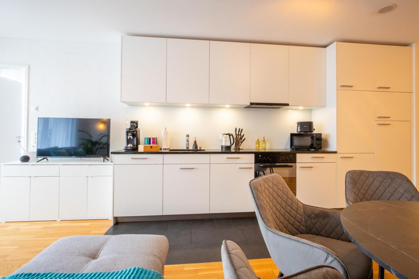 Special Einstein II Apartment Basel, Messe Kleinbasel 10-Star Extérieur photo
